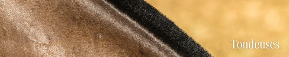 Tondeuse pour cheval et poney - Equestria Sellerie