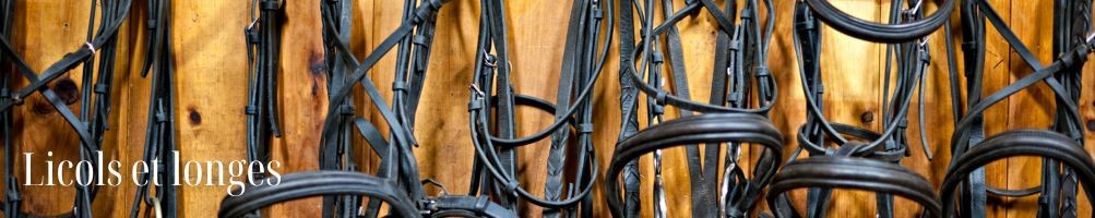 Licols et Longes pour cheval - Equestria Sellerie