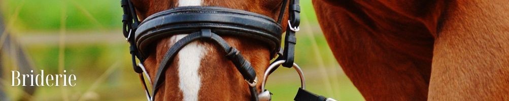 Briderie pour cheval - Equestria Sellerie